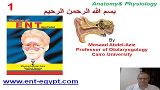 Mosaad AbdelAziz 1 Anatomy amp Physiology of the Ear [upl. by Reifinnej107]