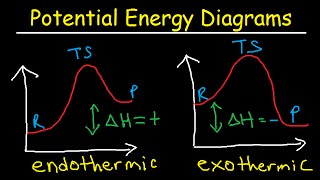 Potential Energy Diagrams  Chemistry  Catalyst Endothermic amp Exothermic Reactions [upl. by Wistrup]