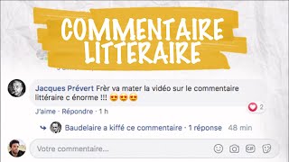 Le commentaire littéraire  français  1ère [upl. by Ellenej]