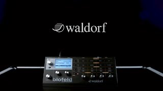 Waldorf Blofeld Synthesizer Black  Gear4music demo [upl. by Aineg285]