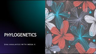 DNA Sequence Alignment with MEGA X Basic Tutorial [upl. by Solange]