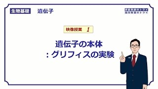 【生物基礎】 遺伝子1 グリフィスの実験 （１６分） [upl. by Silera]