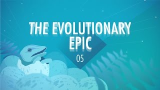 The Evolutionary Epic Crash Course Big History 5 [upl. by Eidderf]