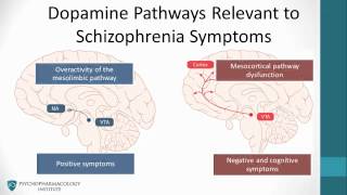 Psychopharmacology Antipsychotics amp The Dopamine Hypothesis [upl. by Yarised363]