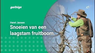 Laagstam fruitbomen snoeien appelboom [upl. by Macy]