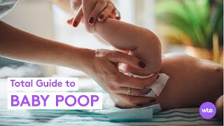 Is Your Babys Poop Normal What Parents Need to Know  What to Expect [upl. by Ayekram]