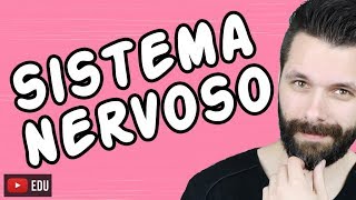 SISTEMA NERVOSO  FISIOLOGIA  Aula  Biologia com Samuel Cunha [upl. by Norrej]