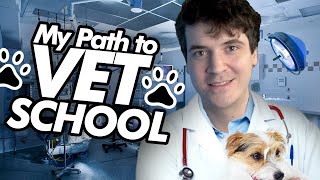 How I Got Into VET SCHOOL  ADVICE [upl. by Durkee]