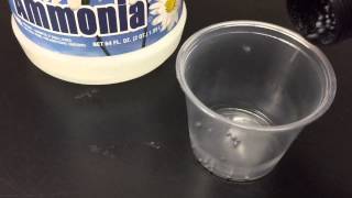 How to make exploding NITROGEN TRIIODIDE NI3 [upl. by Narbig]