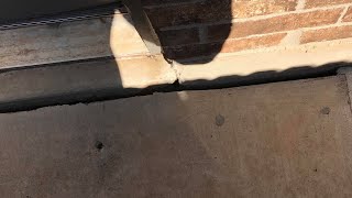 Seal Gap In Foundation and Concrete Patio or Sidewalk [upl. by Maris]