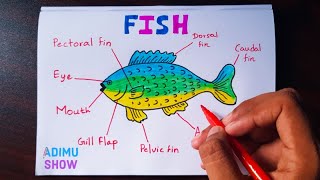 How to draw and label a fish  step by step tutorial [upl. by Gregson975]