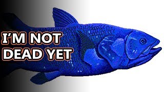 Coelacanth facts theyre called living fossils  Animal Fact Files [upl. by Reema]