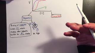 Allosteric Enzymes Sigmoidal Kinetics [upl. by Enala]