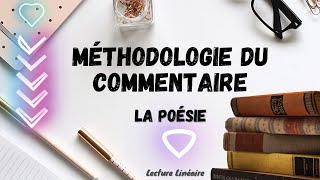 Comment faire le commentaire dun texte poétique [upl. by Ihana]