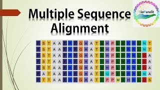 Multiple Sequence Alignment [upl. by Drhcir]