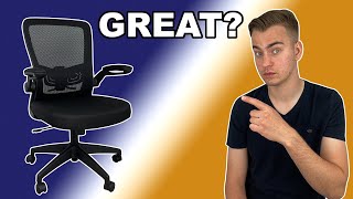 Great For Your Home Office Ergonomic Desk Chair Review [upl. by Marianna]