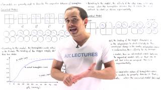 Concerted and Sequential Model for Hemoglobin [upl. by Servetnick613]