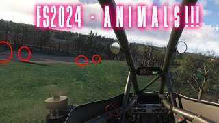 Finding ANIMALS in MSFS2024 [upl. by Ruddy]