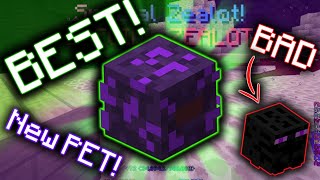 New BEST PET for ZEALOTS  Hypixel Skyblock [upl. by Anett]