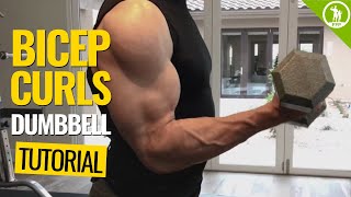 Bicep Curls — DUMBBELL FORM amp TECHNIQUE [upl. by Griswold]