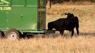 Automatic Livestock Feeder [upl. by Lipinski732]