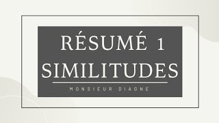 SIMILITUDES PLANES DIRECTES RÉSUMÉ 1 [upl. by Aihsetan]