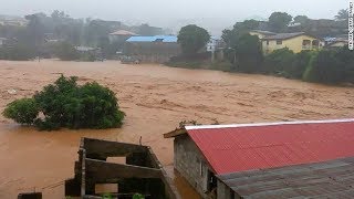 Hundreds feared dead in Sierra Leone mudslides [upl. by Heber611]