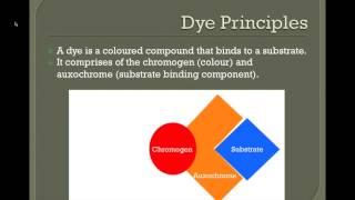 Introduction to histochemistry [upl. by Kean304]