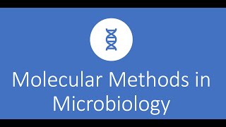 Molecular Methods in the Microbiology Lab [upl. by Annaigroeg332]