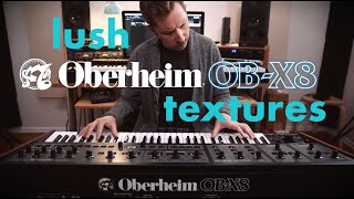 lush OBERHEIM OBX8  Strymon soundscapes [upl. by Asselim762]