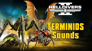 Helldivers 2 Terminids  What do they sound like [upl. by Isied]