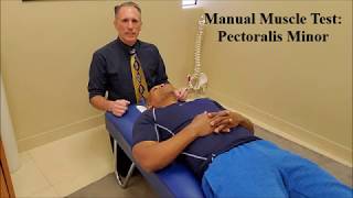 Manual Muscle Testing MMT Pectoralis Minor Pec Minor [upl. by Riada399]