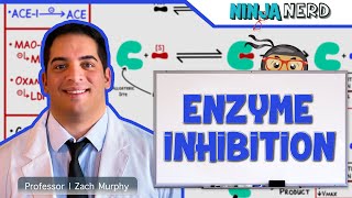 Biochemistry  Enzyme Inhibition [upl. by Rekab]