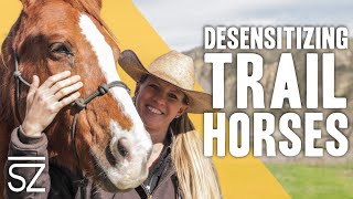 How to Desensitize Horses From Scary Objects [upl. by Acinnej553]