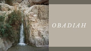 The Book of Obadiah The Edomites [upl. by Nalyt188]