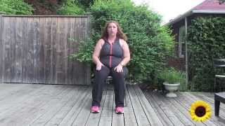 Seated Exercise Head To Toe Gentle Workout [upl. by Edeline]