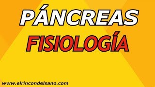 Páncreas  Fisiología Funciones endocrina y exocrina [upl. by Swehttam22]