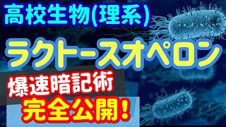 【高校生物 19】遺伝子【ラクトースオペロン】を宇宙一わかりやすく [upl. by Anelat]