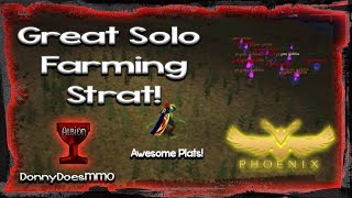 DAoC Phoenix Server  Great Solo Farming Strategy  Albion Cabalist [upl. by Fricke]