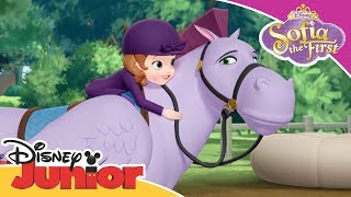 Sofia the First  Ride like Sofia  Official Disney Channel Africa [upl. by Fabrienne165]