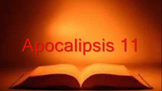 APOCALIPSIS completo Biblia hablada RV 1960 [upl. by Silverman]