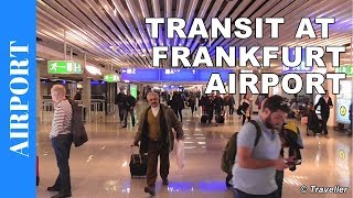 TRANSIT WALK AT FRANKFURT Airport FRA Terminal 1  Connection Flight Transfer Arriving amp Departing [upl. by Saleme]