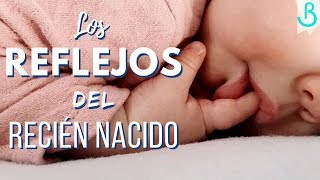 👶🏻👌🏻Los REFLEJOS del RECIÉN NACIDO  Baby Suite by Pau [upl. by Aloap]